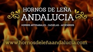 Receta Pollo asado al horno de leña [upl. by Anilocin312]