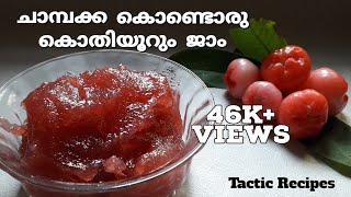 Home Made jam  ചാമ്പക്ക ജാം ഹോം മെയ്ഡ്  Rose Apple Jam  Tactic Recipes [upl. by Hayikat574]