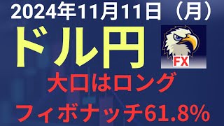 【相場解説】２０２４年１１月１１日（月）ドル円 [upl. by Niall]