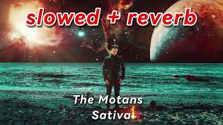 The Motans  Sativa 🎧slowed  reverb [upl. by Dania]