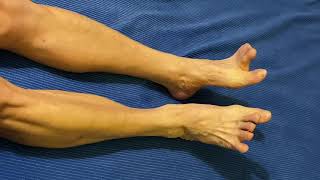 Fix Plantar Fasciitis with Simple Convenient and Effective foot ankle toes Exercisesstretches [upl. by Oiluarb848]