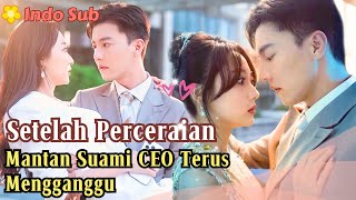 Indo Sub Setelah Perceraian Mantan Suami CEO Terus Mengganggu MiniDrama drama film [upl. by Seymour]