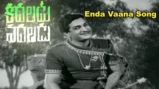 Kadaladu Vadaladu Telugu Movie Songs  Enda Vaana  NTR  Jayalalitha [upl. by Ernest]