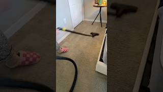 Realistic cleaning my apartment [upl. by Ecyob]