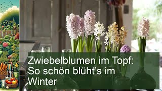 Zwiebelblumen im Topf So schön blüht’s im Winter [upl. by Niattirb]