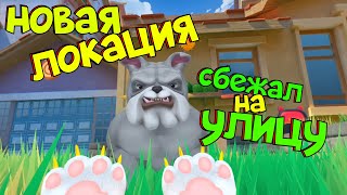 КОТ СБЕЖАЛ НА УЛИЦУ  НОВОЕ ОБНОВЛЕНИЕ  I AM CAT [upl. by Trebloc]