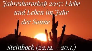 Steinbock Jahreshoroskop 2017 [upl. by Noleta65]