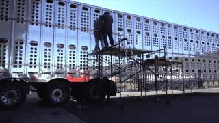 Cattle trailer polishing video [upl. by Wanfried466]