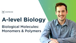 Introduction to Biological Molecules Monomers amp Polymers  Alevel Biology  OCR AQA Edexcel [upl. by Venetia]