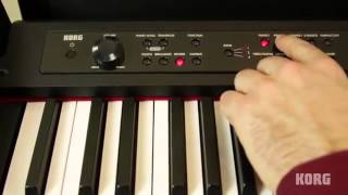 Korg LP380 Digital Piano [upl. by Vez]