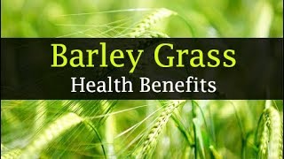 10 Barley Grass Benefits  Weight Loss Skin Juice [upl. by Gae756]