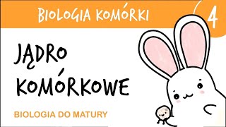 Cytologia 4  Jądro komórkowe  biologia rozszerzona matura liceum przygotowanie do matury z biologi [upl. by Einrae]