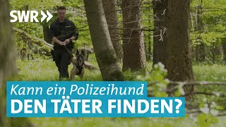 Spürhunde und Schutzhunde im Einsatz So werden Polizeihunde in Göppingen ausgebildet [upl. by Dnomhcir]