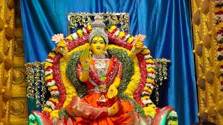 Day 6 Mahalakshmi Devi darshan in Vijayawada [upl. by Jud]