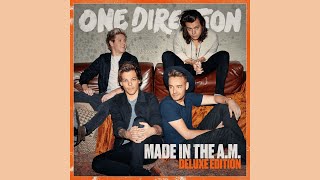 One Direction  Temporary Fix Instrumental [upl. by Hassin830]