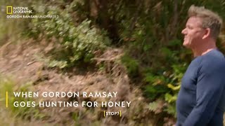 When Gordon Ramsay Goes Hunting For Honey  Uncharted  National Geographic [upl. by Aelak]