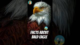 Did You Know Bald Eagle Can Do THIS🦅 Incredible Facts baldeagles animaliq animalshorts [upl. by Rehctaht]