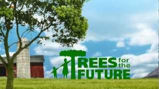 Trees For The Future Animation [upl. by Corder]