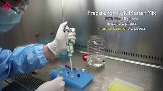 Sansure HBV Nucleic Acid One Step Fast Release Method Demo [upl. by Eeloj]