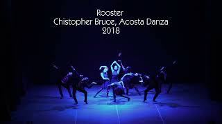 Rooster  fragment  Christopher Bruce acostadanza9227  2019 [upl. by Enid]