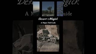 Desert Magick A Mojave Field Guide mojave newbookalert [upl. by Sandi]