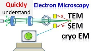 Electron microscope  TEM  SEM  Cryo EM [upl. by Dareg]