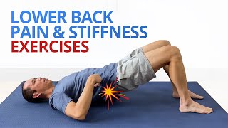 INSTANT RELIEF from Lower Back Pain and Stiffness 4 EASY Exercises [upl. by Aholla]