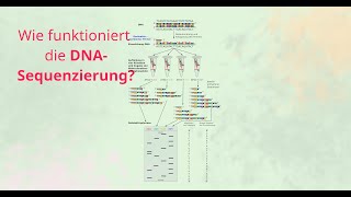 DNASequenzierung nach Sanger Abbruchnukleotide amp Aufbau der Nukleotide DNARNA [upl. by Bolan885]