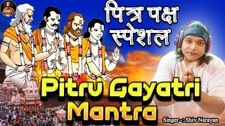 Pitra Shanti Mantra  Pitra mantra 108 श्राद्ध विशेष पितृ शांति मंत्र  Pitra Mantra  pitra song [upl. by Gibert126]