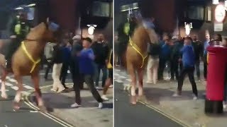 Football fan throws punch at police horse [upl. by Eatnoed]