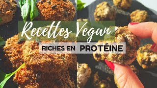 Recettes VEGAN amp RICHES EN PROTÉINE ▌falafels et steak végétal [upl. by Nylaf258]