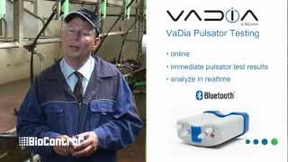 Fast and easy Pulsator Testing with VaDia [upl. by Durno]