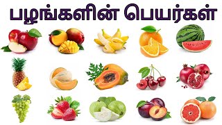 பழங்களின் பெயர்கள்  Learn fruit names in Tamil for kids [upl. by Tsan]