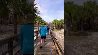 island CALADESI “Florida🌴ferry from Honeymoon Island State Park 🥰friends beachshelling [upl. by Inavoy]