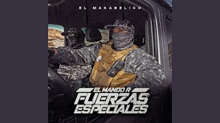 El Mando R Fuerzas Especiales [upl. by Annekahs]