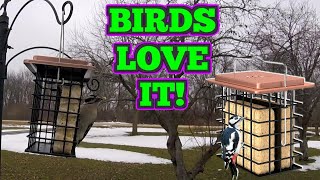 Year Round Feeding With This iBorn Double Barrel Suet Bird Feeder [upl. by Jaan]