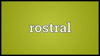 Rostral Meaning [upl. by Ynnavoig750]