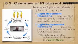 Chapter 8 Part 2  Overview of Photosynthesis [upl. by Akemet269]