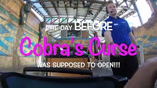 Cobras Curse  BEFORE it was supposed to open [upl. by Goldston]