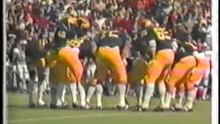 South Carolina vs Michigan football 1980 [upl. by Etteinotna]