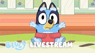 🔴LIVE BLUEY FULL EPISODES LIVESTREAM [upl. by Reace]