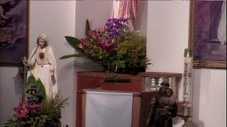 600 pm Novena Prayer of St Anthony July 30 2024 [upl. by Heger]