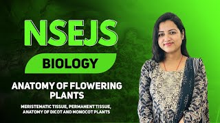 NSEJS  BIOLOGY  Anatomy of Flowering Plants  Class 9 [upl. by Edith]