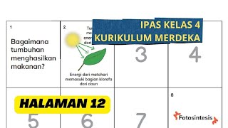 Ilustrasi Tahapan Proses Fotosintesis Pada Daun dan Keterangan Halaman 12 IPAS Kelas 4 [upl. by Shelburne]