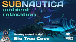 Subnautica Ambient Relaxation Big Tree Cave [upl. by Idnahr]