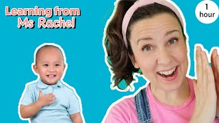 Real learning for toddlers  Inspired by Ms Rachel  Learn to talk [upl. by Gnuj160]