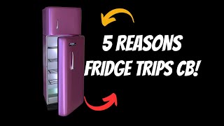 5 Common Reasons Your Fridge Trips the Breaker [upl. by Mure]