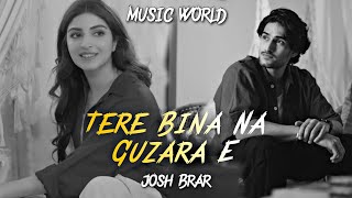 Tere Bina Na Guzara E  Josh Brar  Trending Famous Punjabi Song 2024  Music World [upl. by Casper]