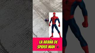 La araña de spider man 😱😱🕷️🕸️🕷️ [upl. by Rani]