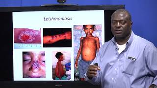 SF2UF Peter E Kima PhD Home building issues Leishmania parasites home [upl. by Namdor]